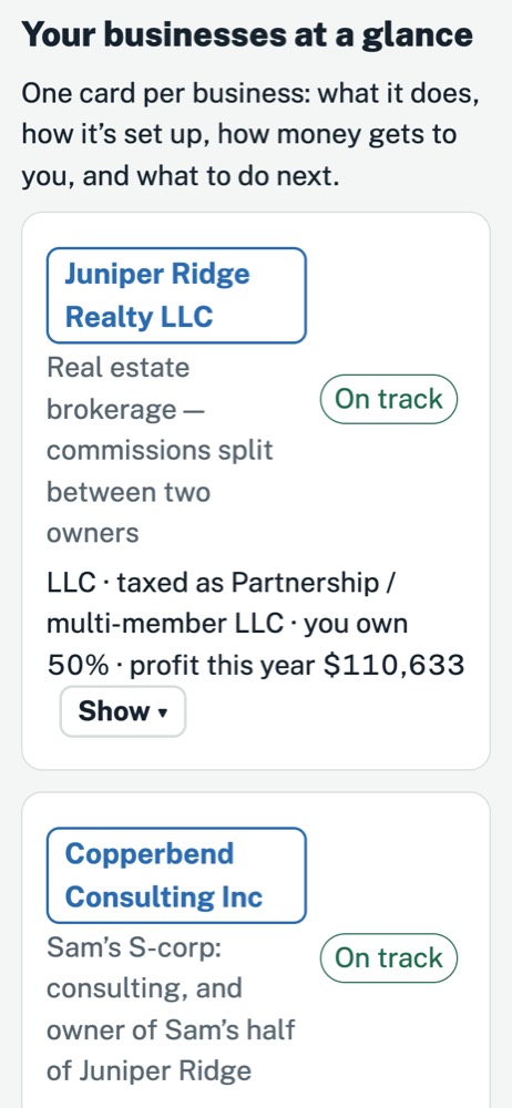 All My LLCs on a phone: every business on one screen, with what it does, who owns it and its profit this year. Sample data.